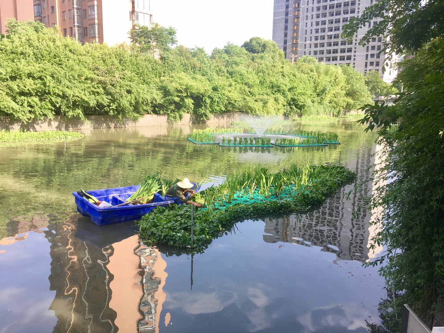 宁波鄞州区城区内河水质日常养护项目